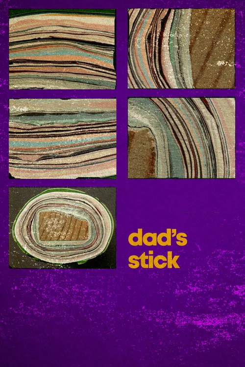 Dad's Stick poster