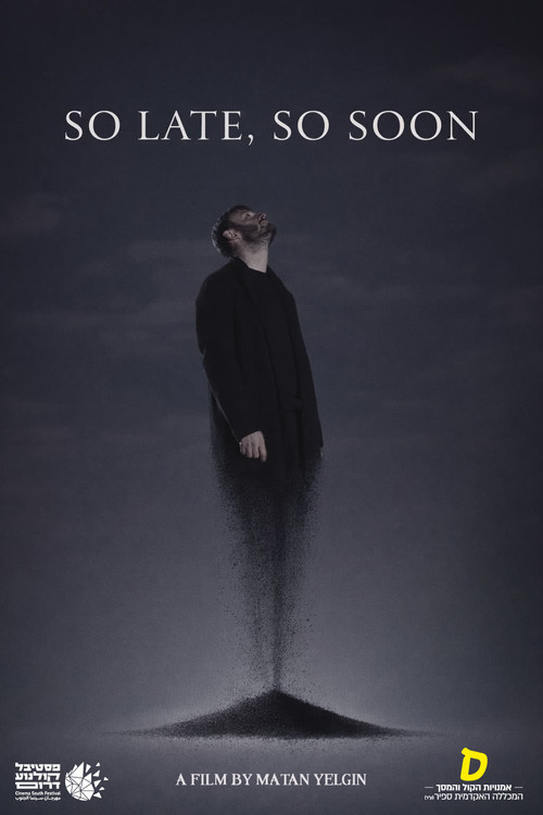SO LATE, SO SOON poster
