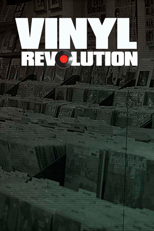 Vinyl Revolution poster