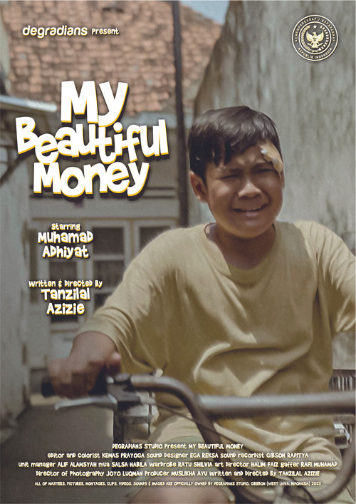 My Beautiful Money poster