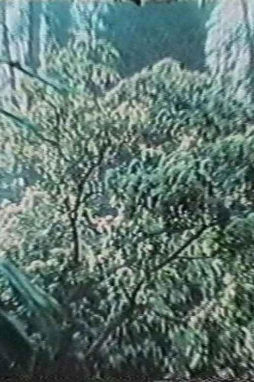 The Wind Blows Where It Wishes poster