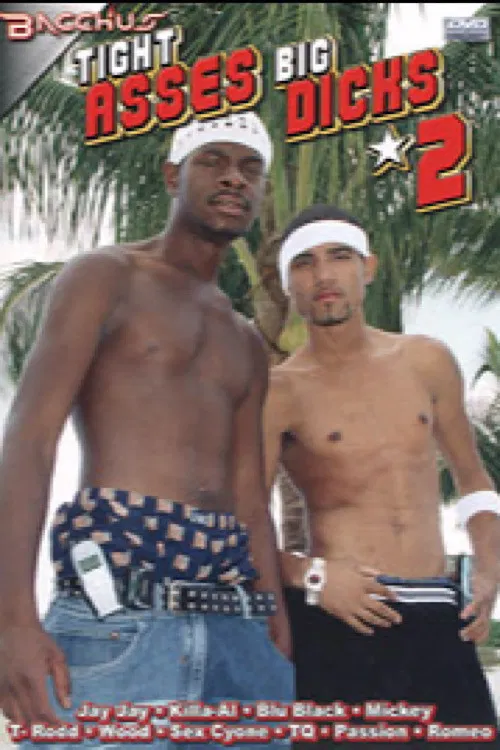 Tight Asses Big Dicks 2 poster