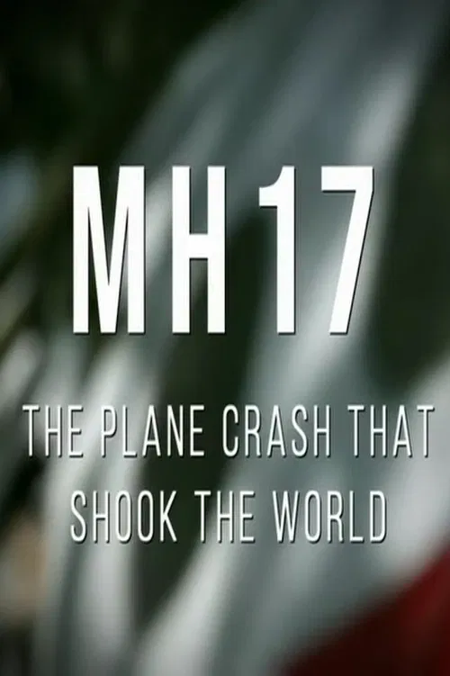 MH17: The Plane Crash That Shook The World poster