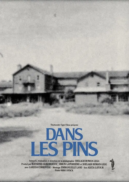 Among the Pines poster