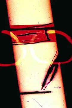 1000 Plateaus poster