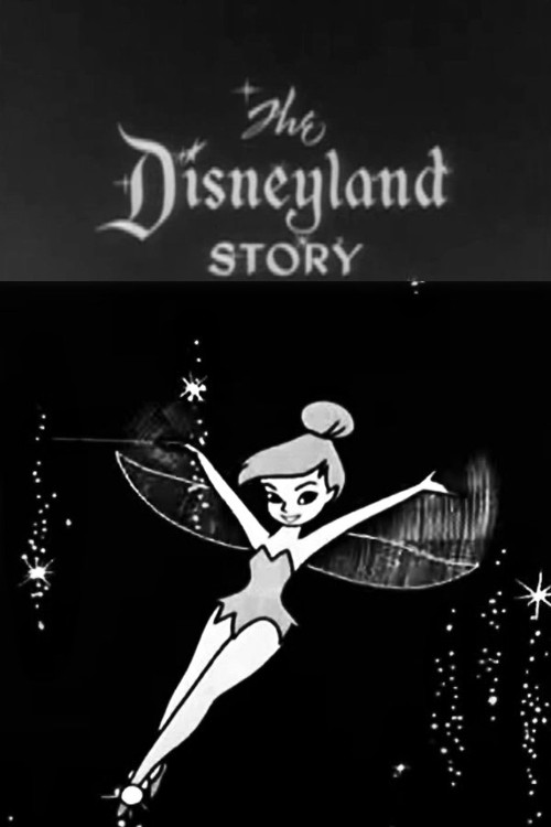 The Disneyland Story poster