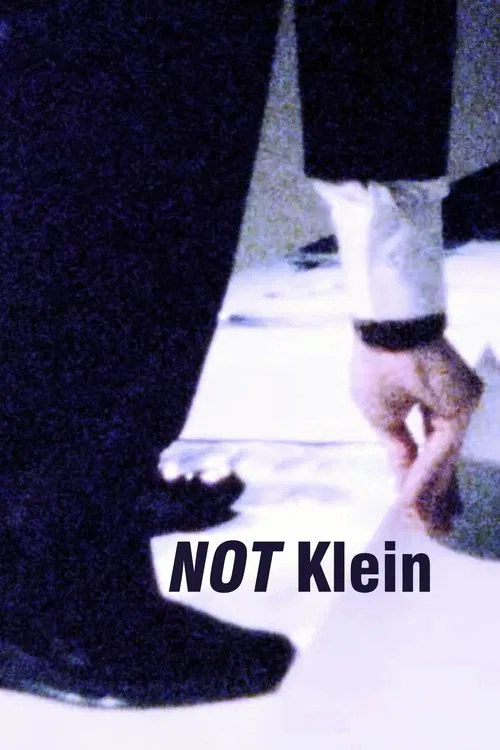 Mike Bidlo: NOT Klein poster