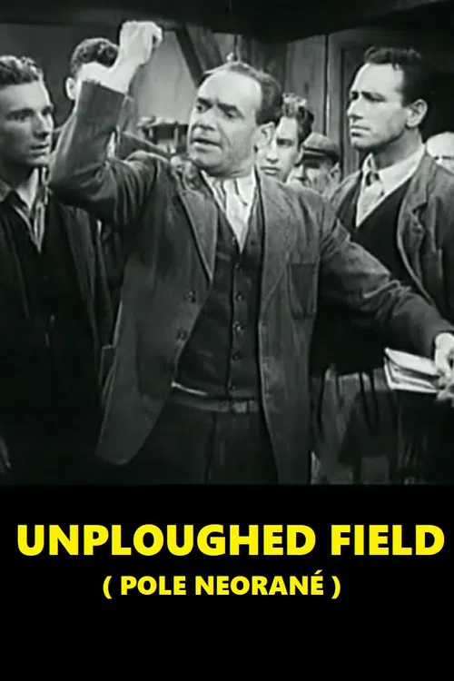 Unploughed Field poster