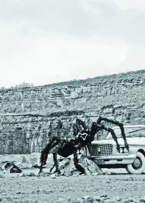 As Long as the Stratified Animal Lights Up poster