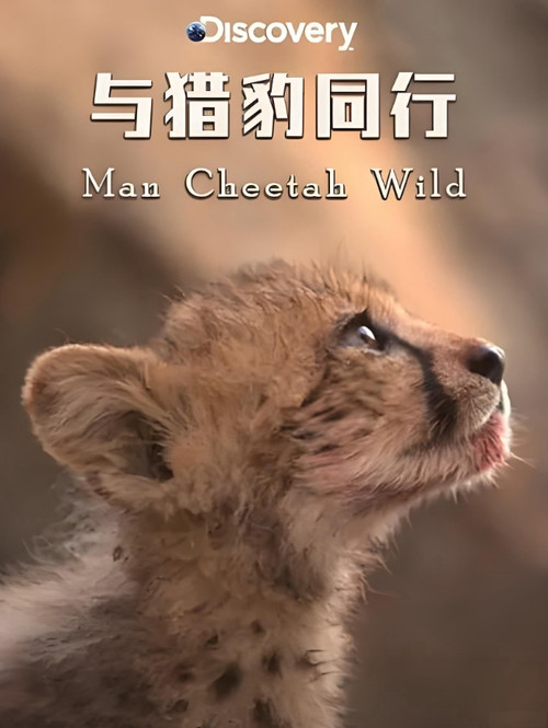 Man Cheetah Wild poster