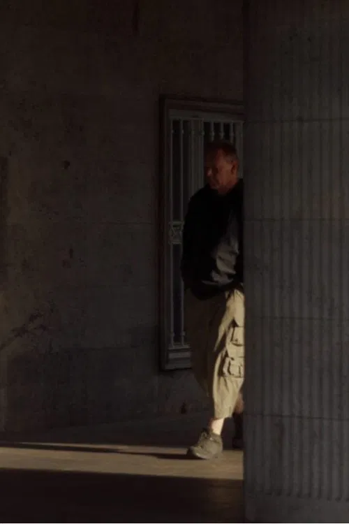 The Perfect Spectator poster