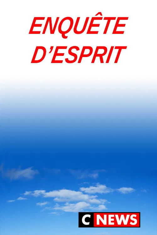 En quête d'esprit poster