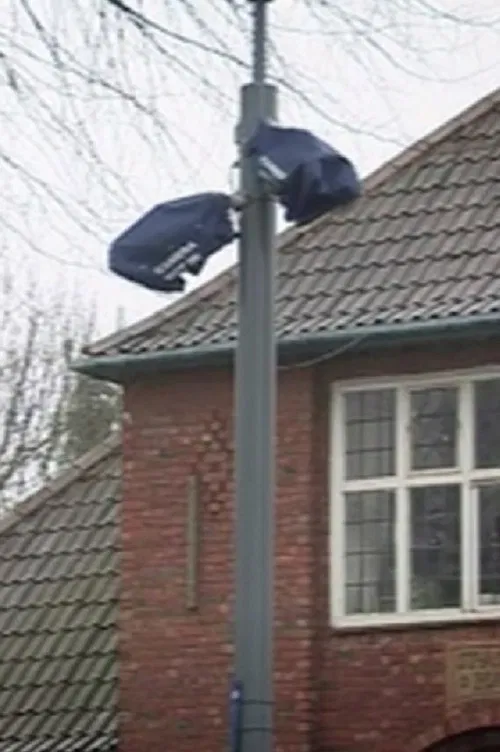 Defeat of the Champion poster