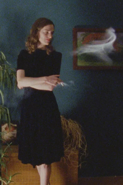 Les yeux remplis de nuit poster