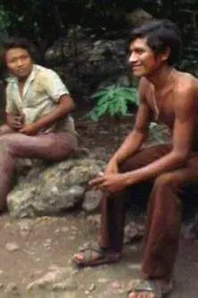 Yucatec Maya Deaf Sign poster