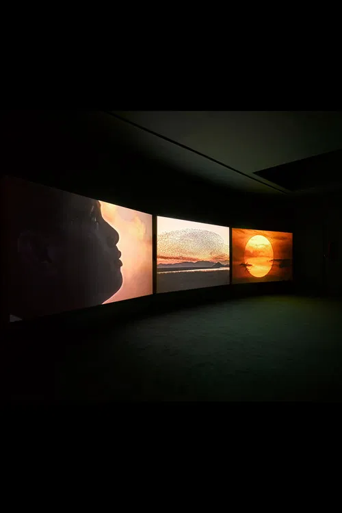 Four Nocturnes poster