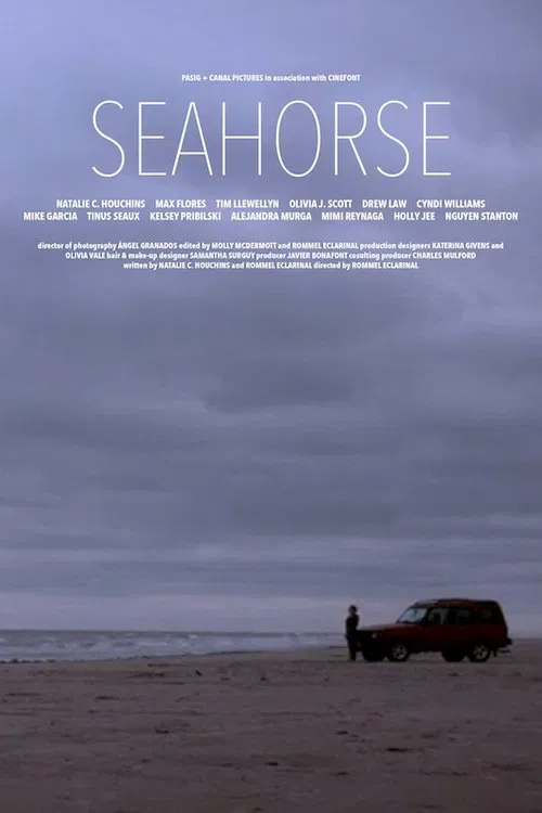 Seahorse poster