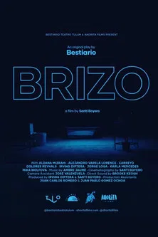 Brizo poster