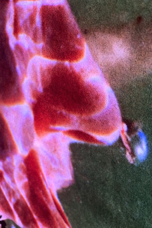 Welling Color Island West poster