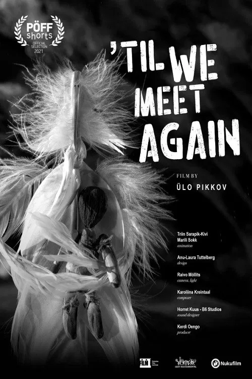Till We Meet Again poster