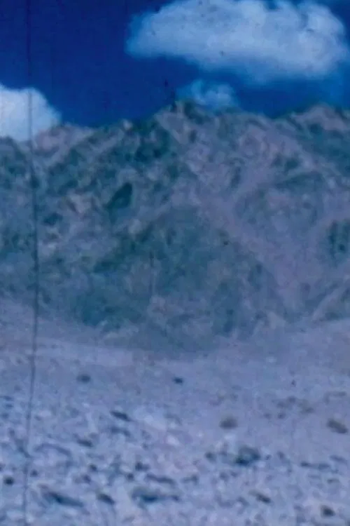 Vitaal Filmen poster