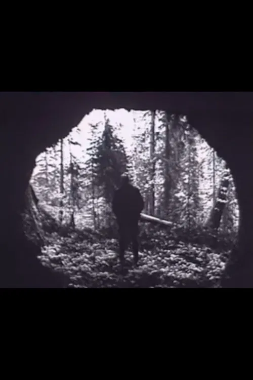 In the canyons of the river Berezovaya poster