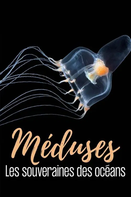Méduses les souveraines des océans poster
