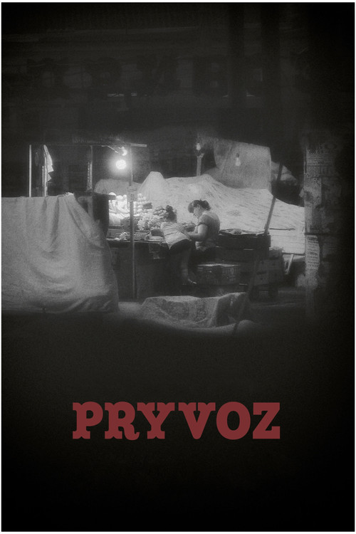 Pryvoz poster