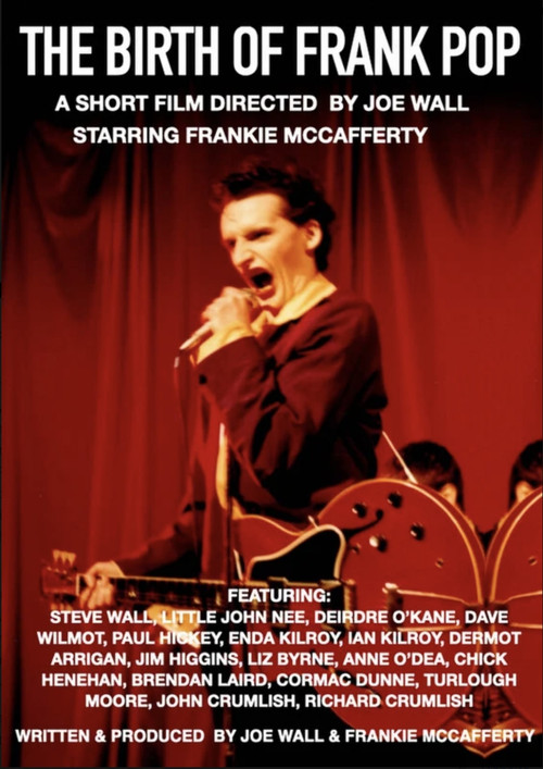 The Birth of Frank Pop poster