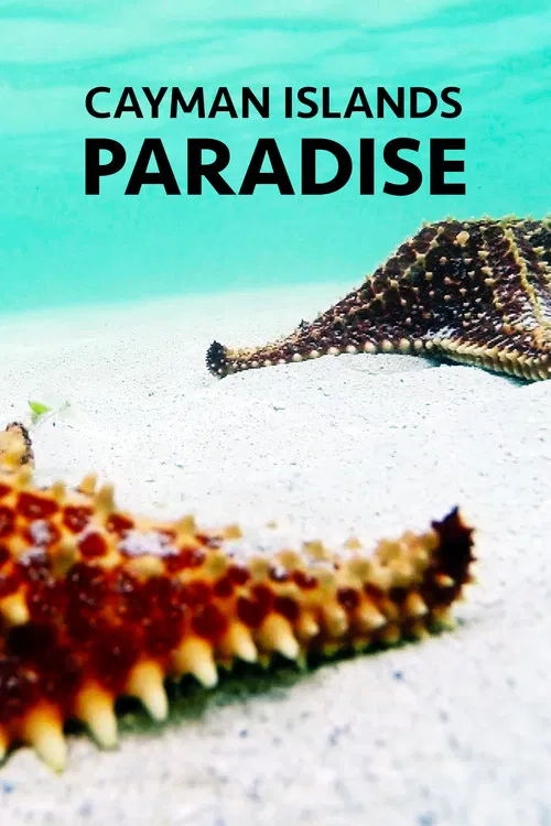 Cayman Islands: Paradise poster