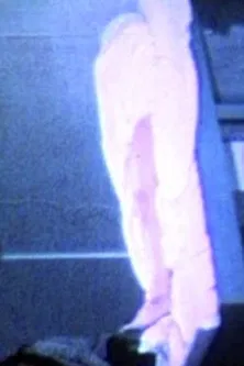 Reception Room poster