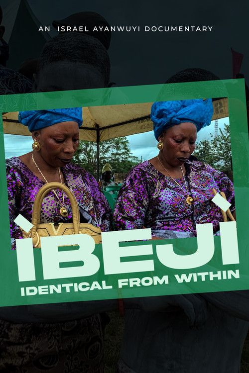 Ibeji: Identical from Within poster