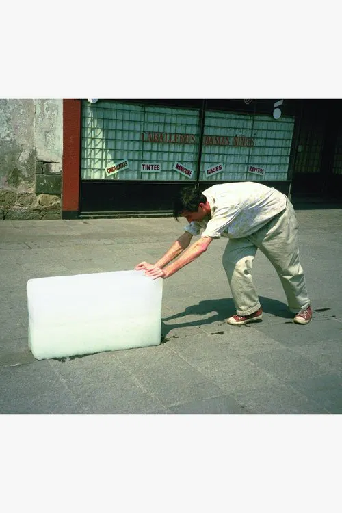 Paradox of Praxis 1 poster