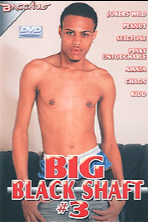 Big Black Shaft 3 poster