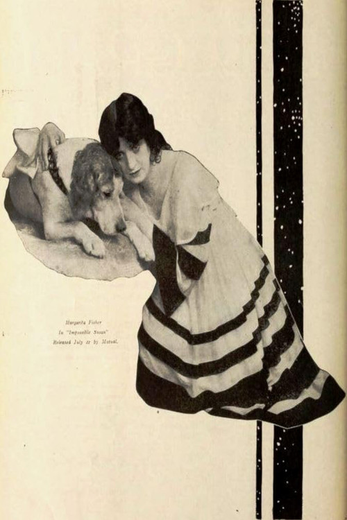 Impossible Susan poster