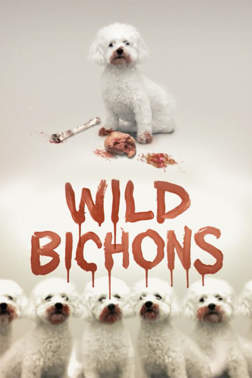 Wild Bichons poster