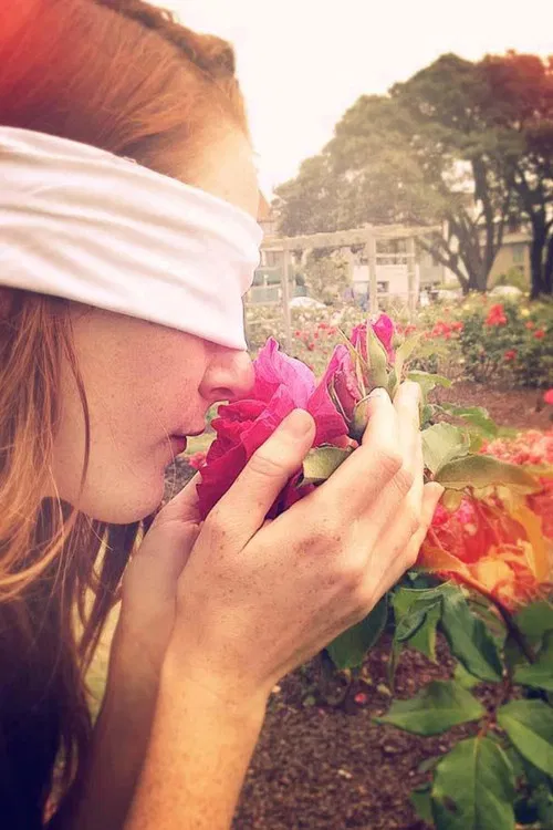 The Handkerchief poster