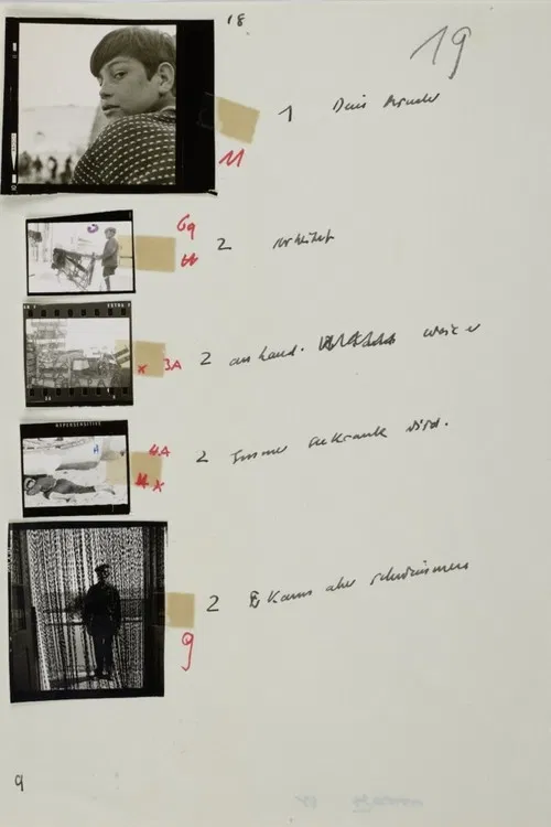 Der Fischmarkt und die Fische poster