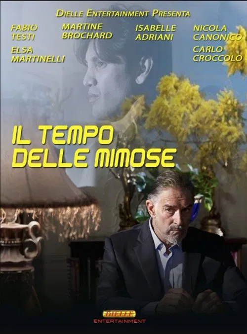 Il tempo delle mimose poster
