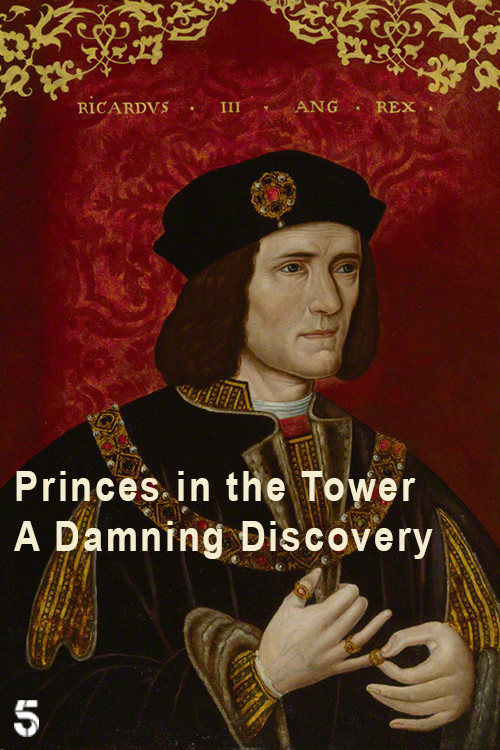 Princes in the Tower: A Damning Discovery poster