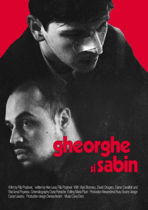 Gheorghe și Sabin poster