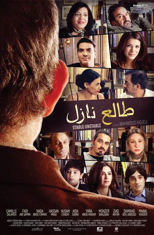 Stable Unstable poster