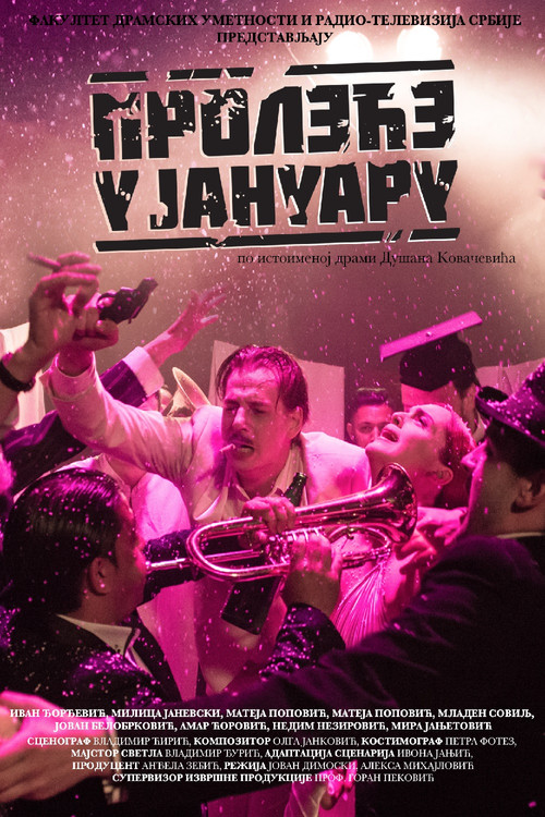 Spring in January poster