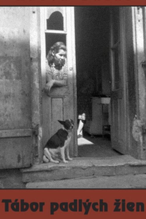 Camp of Fallen Women poster