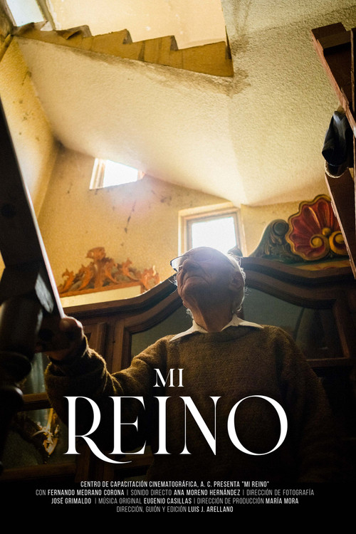 Mi reino poster