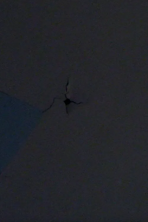 Bad Frequencies poster