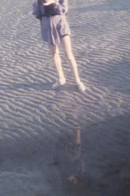 August Moon and Sea poster