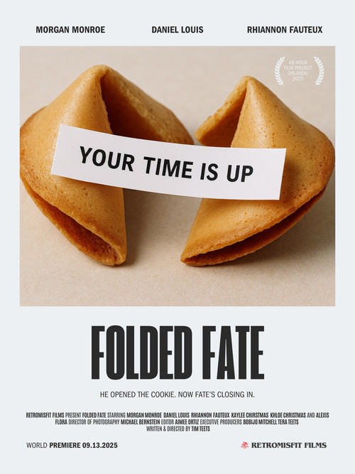 Folded Fate poster