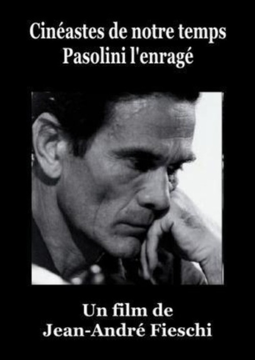 Pasolini l'Enragé poster