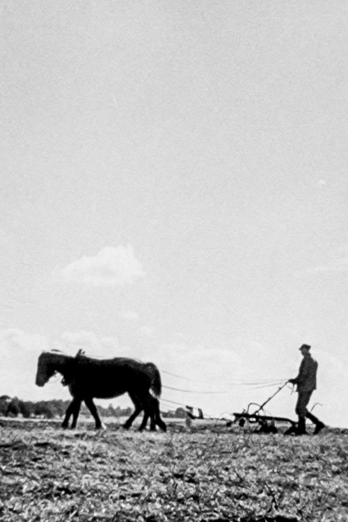 We Are Building New Villages poster